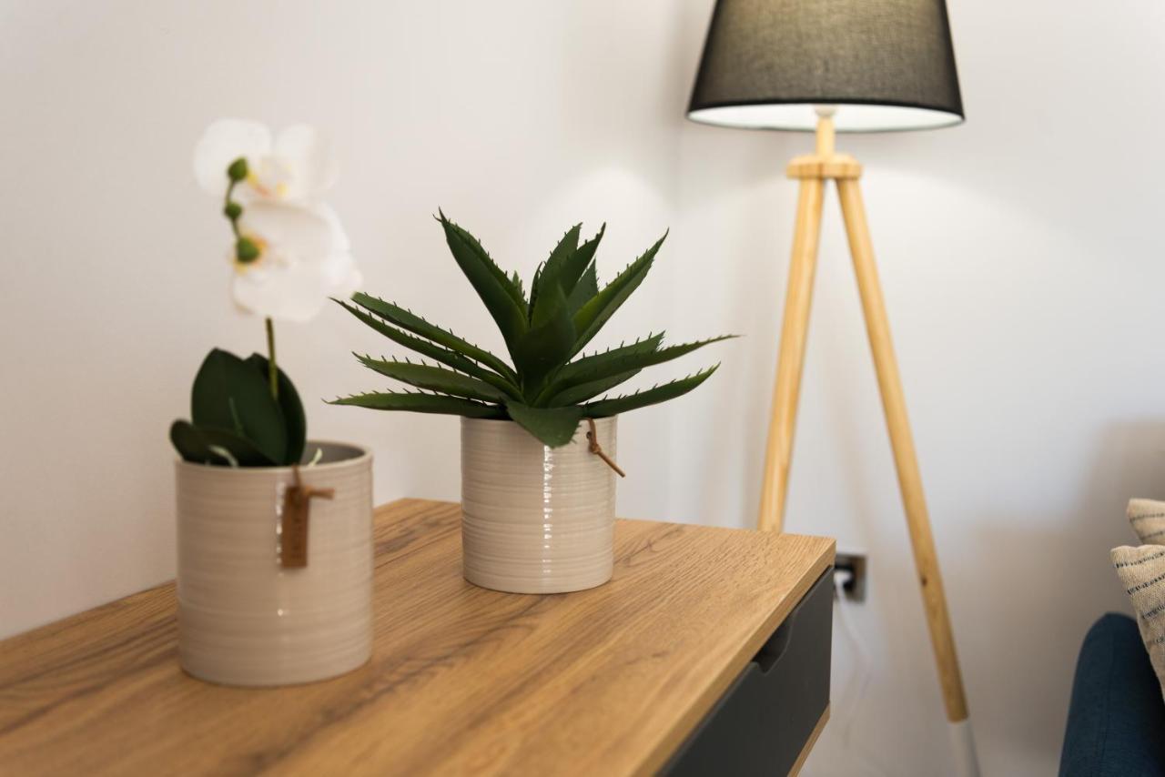 Al Santo Apartments Zakintos Dış mekan fotoğraf
